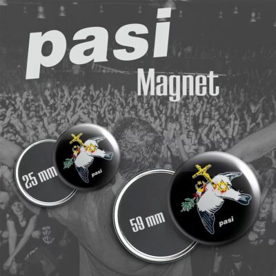PASI magnet