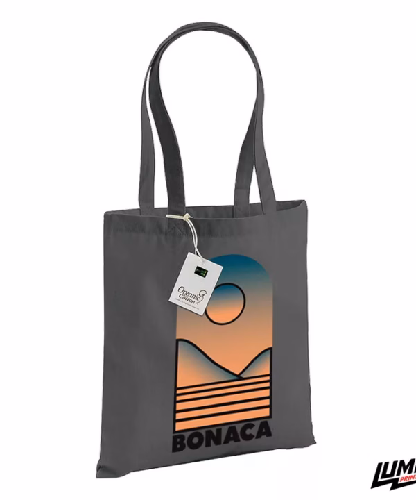 Bonaca torba