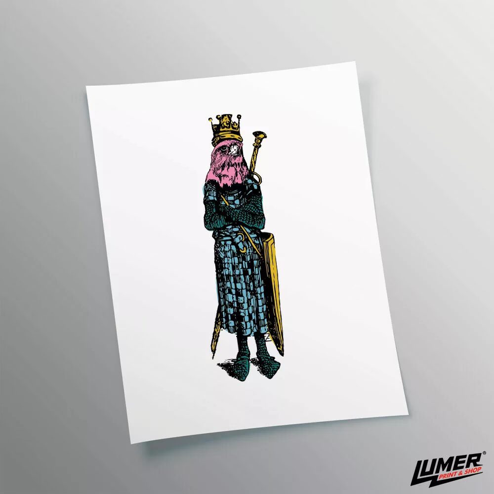 King bird plakat
