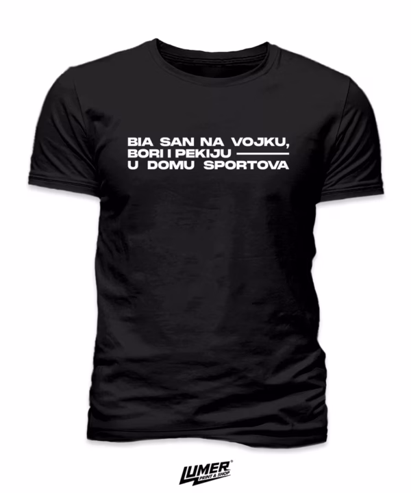 Bia sam na Vojku, Bori i Pekiju u Domu sportova