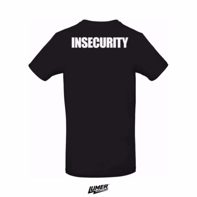 (In)security